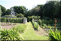 Vegetable garden, Drumblair House