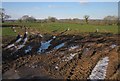 Tyre tracks, Pilemoor