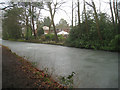 Houses along the Basingstoke canal