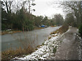 Cold conditions by the canal