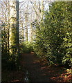 Footpath towards Amersham