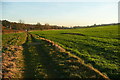 Footpath in the Misbourne valley