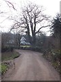 Bridge over Dawlish Water at Milton Hill