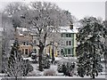 Houses on St Helen