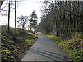 Footpath alongside the Birchwood Expressway