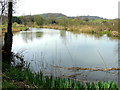 Fishing lake at Revels farm