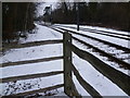 TQ3564 : Tramlink in winter near Coombe Lane by Marathon