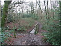 Footbridge In Holt Wood