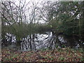 Pond Near Rosedale Farm