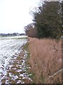 Field edge footpath