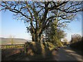 Lane on Hackpen Hill