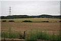 Pylons and farmland near Burham