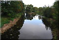 River Gipping from Bramford Bridge