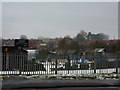 Allotments, Sinfin Lane, Derby