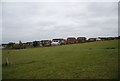 Houses on the edge of High Halstow