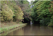 SJ8318 : Shropshire Union Canal south of Gnosall, Staffordshire by Roger  D Kidd