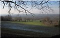 Field at Bowhayes Farm