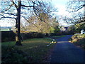 Looking down the lane at Greenwood