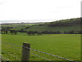 Valley between drumlins viewed from the Ballylucas Road