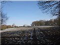 Snowy field on Hackpen Hill