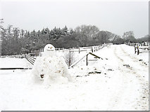 TQ5515 : Snowman, Carr Brook Farm by Simon Carey