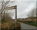 This way to Highmoor Hill from Caerwent