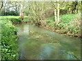 The river Bourne