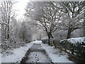 Footpath to The Dell, Hornchurch, Essex