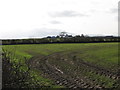 Farm in the townland of Ballydonnell