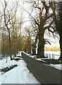 Road past Acrise Wood