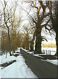 TR1841 : Road past Acrise Wood by John Baker