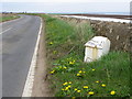 Milestone,  Barnsmuir