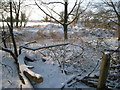 Frozen pond