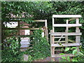 Footpath, Canford Magna