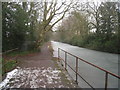 Frozen Basingstoke Canal (Fleet)