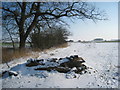 The beginning of the bridleway to Moor Road