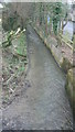 Tamerton Foliot stream Station Road