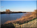 High  Water  on  the  River  Trent