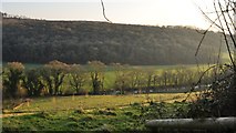SS6813 : North Devon : Little Dart River Valley by Lewis Clarke