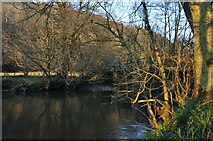 SS6813 : Mid Devon : Little River Dart by Lewis Clarke