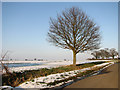 Snowy scenery east of Chattisham