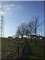 Power transmission line, ice-tipped branches, and filling station, Brynmawr