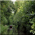 SJ6931 : The canal in Woodseaves Cutting, Shropshire by Roger  Kidd