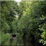 SJ6931 : The canal in Woodseaves Cutting, Shropshire by Roger  D Kidd