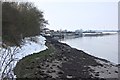 Up-river from Kendal Park (Winter)