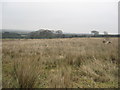 Waste grounds to the east of Greengairs in North Lanarkshire