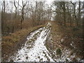 SU3942 : Foresters track - Hartway Copse by Mr Ignavy