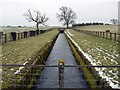 Whittle Dene Watercourse between Thornham Hill and Butcher Hill Farms