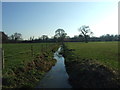 Stream Looking Towards Pilford Copse