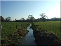SU0302 : Stream Looking Towards Pilford Copse by Lorraine and Keith Bowdler